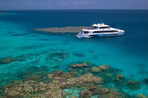 Silversonic Outer Great Barrier Reef Dive And Snorkel Cruise From Port Douglas - Surfers Paradise Gold Coast 2