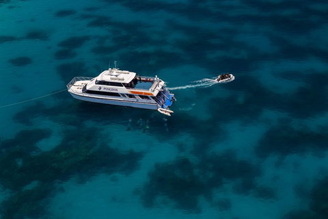 Quicksilver Dive 4 Day PADI Learn To Dive Course - Surfers Paradise Gold Coast 1