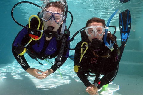Quicksilver Dive 4 Day PADI Learn To Dive Course - Surfers Paradise Gold Coast 2
