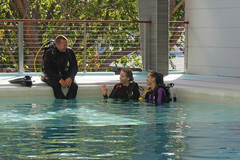 Quicksilver Dive 4 Day PADI Learn To Dive Course - Surfers Paradise Gold Coast 3