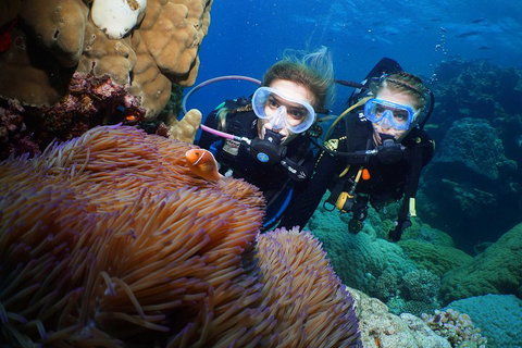 Quicksilver Dive 4 Day PADI Learn To Dive Course - Surfers Paradise Gold Coast 4