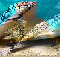Sail Snorkel SUP  Kayak Charter Whitsundays - Surfers Paradise Gold Coast