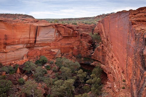 Uluru, Kata Tjuta And Kings Canyon Camping Safari From Ayers Rock - Surfers Paradise Gold Coast 1