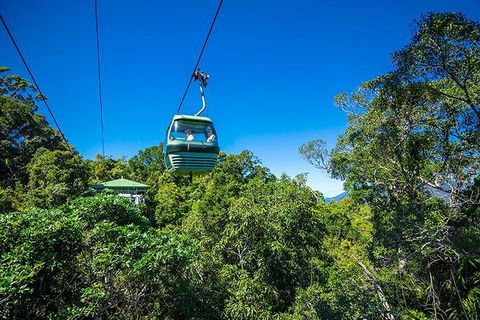 Skyrail Rainforest Cableway Day Trip From Cairns - Surfers Paradise Gold Coast 1