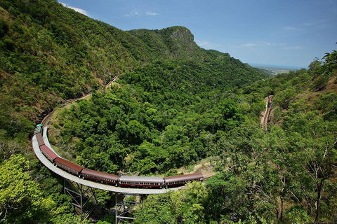 Skyrail Rainforest Cableway Day Trip From Cairns - Surfers Paradise Gold Coast 5
