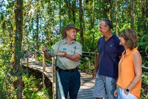 Kuranda Scenic Railway Day Trip From Cairns - Surfers Paradise Gold Coast 1