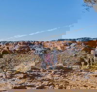 The Amazing Kings Canyon 4-Hours Walking Tour and Hike - Surfers Paradise Gold Coast