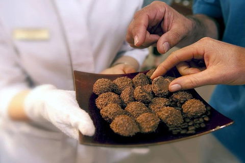 Explore Adelaide City Tour: Haigh's Tasting Chocolate & Adelaide Oval Tour - Surfers Paradise Gold Coast 2