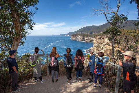 Historic Port Arthur Day Trip From Hobart Including Cliff-Top Walk To Waterfall Bay - Surfers Paradise Gold Coast 0