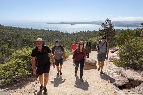 3-Day Tasmania Combo: Hobart To Launceston Active Tour - Surfers Paradise Gold Coast 3