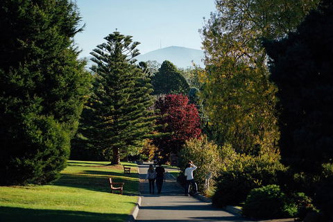 Private Royal Tasmanian Botanical Gardens Walking Tour - Surfers Paradise Gold Coast 1