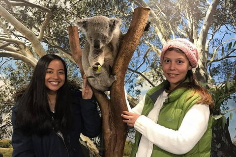Australia Multi-City Attractions Pass - Surfers Paradise Gold Coast 3