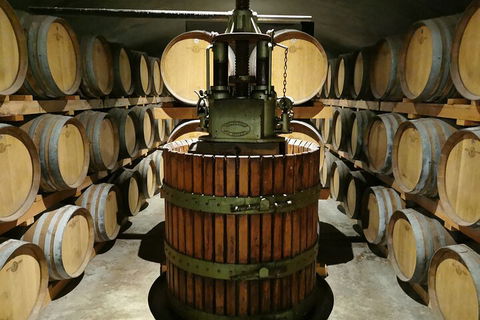 Margaret River Impression Day Tour From Perth - Surfers Paradise Gold Coast 1