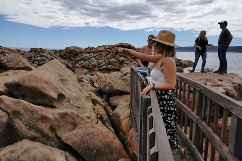 Margaret River Impression Day Tour From Perth - Surfers Paradise Gold Coast 4