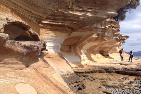 Hobart Minibus Full-Day Private Tour - Surfers Paradise Gold Coast 0