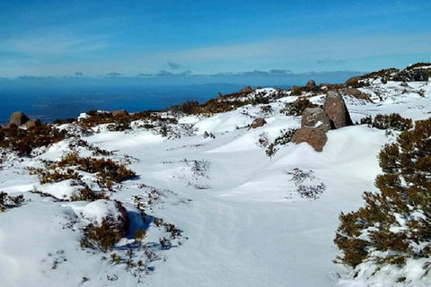 Mt Wellington Ultimate Experience Tour From Hobart - Surfers Paradise Gold Coast 4
