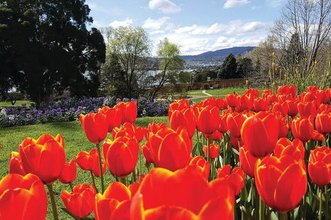 Hobart Half-Day Sightseeing Coach Tram Tour - Surfers Paradise Gold Coast 4