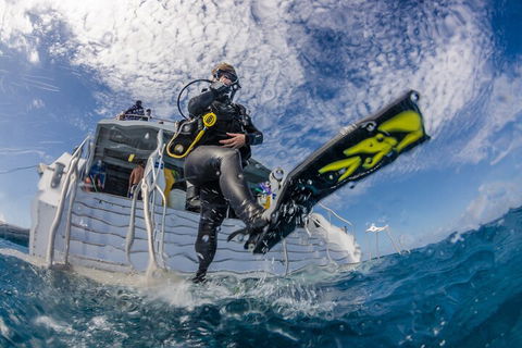 Silverswift Outer Great Barrier Reef Dive And Snorkel Cruise From Cairns - Surfers Paradise Gold Coast 1