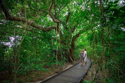 Green Island Eco Adventure From Cairns - Surfers Paradise Gold Coast 0