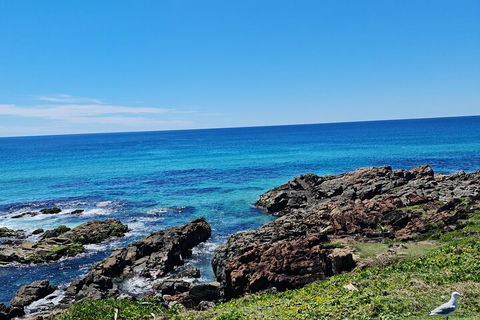 Private Custom Byron Bay Day Out - Surfers Paradise Gold Coast 4