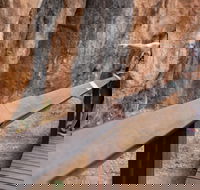 Chillagoe Caves and Outback Day Trip from Cairns - Surfers Paradise Gold Coast