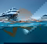 3 Day Great Barrier Reef Daintree Rainforest and Outback Chillagoe Tour - Surfers Paradise Gold Coast