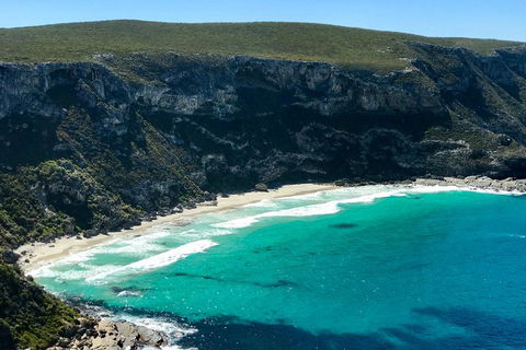 Kangaroo Island Scenic Trail Tour - Surfers Paradise Gold Coast 4