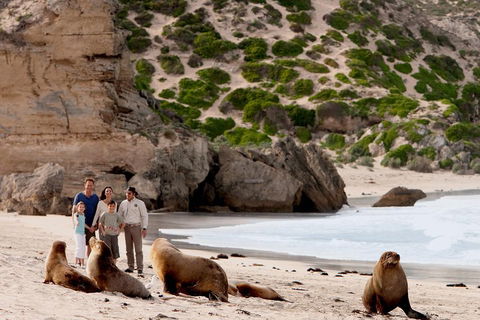 Kangaroo Island Scenic Trail Tour - Surfers Paradise Gold Coast 5