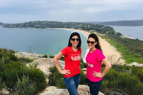 Small-Group Sydney's Northern Beaches And Ku-ring-gai National Park Bus Tour - Surfers Paradise Gold Coast 3
