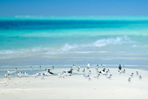 Private Coral Cay Bubbles Tour - Surfers Paradise Gold Coast 2
