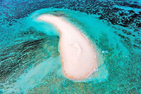 Private Coral Cay Bubbles Tour - Surfers Paradise Gold Coast 3