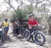 2 Hour Bike Tour in Kangaroo Island - Surfers Paradise Gold Coast