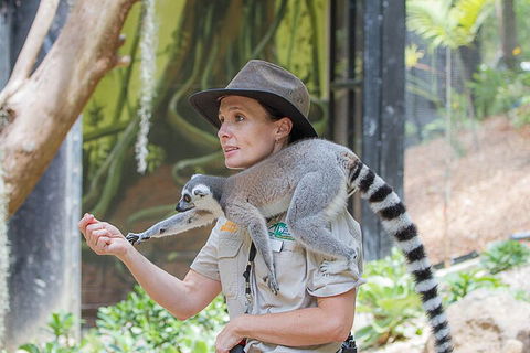 Currumbin Wildlife Sanctuary General Entry Ticket - Surfers Paradise Gold Coast 1