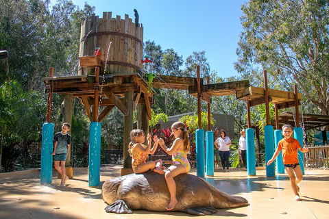 Currumbin Wildlife Sanctuary General Entry Ticket - Surfers Paradise Gold Coast 5