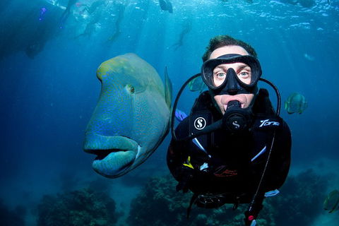 Full Day Reef Cruise Including 10 Minute Heli Scenic Flight: Get High Package - Surfers Paradise Gold Coast 1