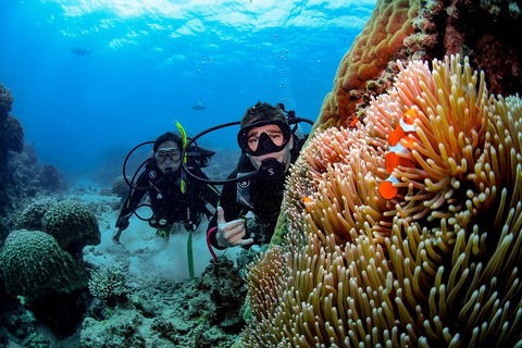 Full Day Reef Cruise Including 10 Minute Heli Scenic Flight: Get High Package - Surfers Paradise Gold Coast 5