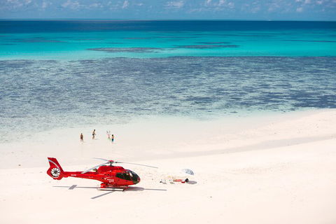 Private Helicopter Tour: Reef Island Snorkeling And Gourmet Picnic Lunch - Surfers Paradise Gold Coast 2
