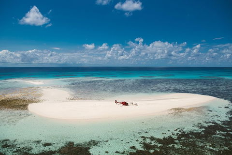 Private Helicopter Tour: Reef Island Snorkeling And Gourmet Picnic Lunch - Surfers Paradise Gold Coast 4