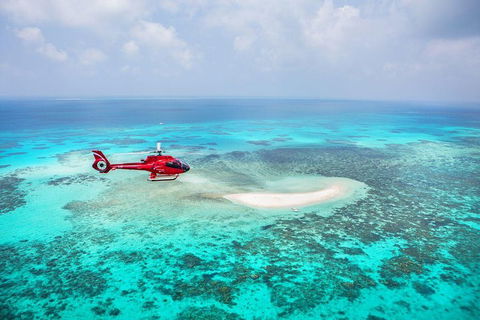 Private Helicopter Tour: Reef Island Snorkeling And Gourmet Picnic Lunch - Surfers Paradise Gold Coast 5