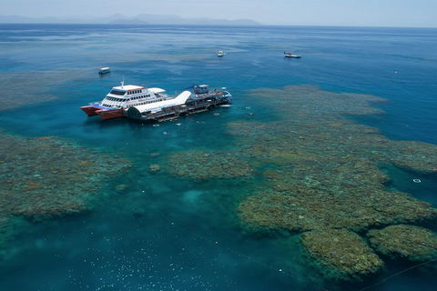 Cruise To Moore Reef Pontoon And Return Helicopter Flight From Cairns - Surfers Paradise Gold Coast 0