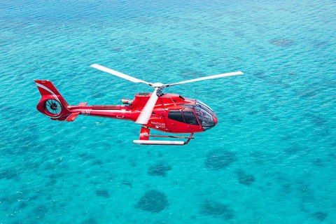 Cruise To Moore Reef Pontoon And Return Helicopter Flight From Cairns - Surfers Paradise Gold Coast 1