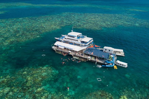 Cruise To Moore Reef Pontoon And Return Helicopter Flight From Cairns - Surfers Paradise Gold Coast 2