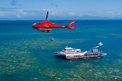 Cruise To Moore Reef Pontoon And Return Helicopter Flight From Cairns - Surfers Paradise Gold Coast 4