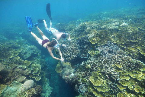 Scenic Helicopter Flight To Moore Reef And Return Snorkeling Cruise From Cairns - Surfers Paradise Gold Coast 1