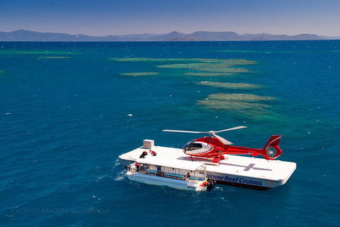 Scenic Helicopter Flight To Moore Reef And Return Snorkeling Cruise From Cairns - Surfers Paradise Gold Coast 4