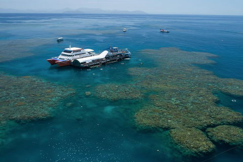 Scenic Helicopter Flight To Moore Reef And Return Snorkeling Cruise From Cairns - Surfers Paradise Gold Coast 5