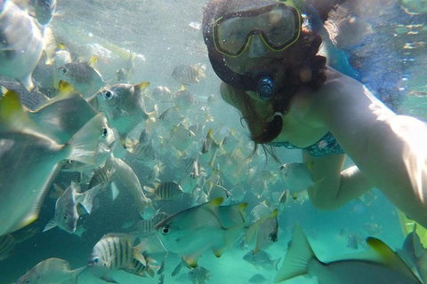 2-Day Moreton Island 4WD Camping Tour From Brisbane - Surfers Paradise Gold Coast 0