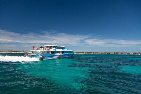Perth To Rottnest Island Roundtrip Ferry Ticket - Surfers Paradise Gold Coast 4