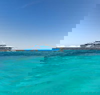 Rottnest Island Bayseeker Day Trip from Perth - Surfers Paradise Gold Coast