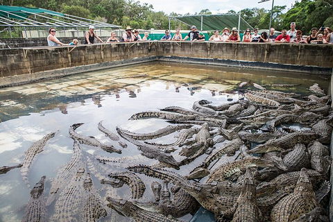 Hartley's Crocodile Adventures Day Trip From Cairns - Surfers Paradise Gold Coast 0